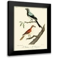 thumbnail image 1 of de Langlois 12x14 Black Modern Framed Museum Art Print Titled - Vintage French Birds II, 1 of 5