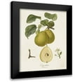 thumbnail image 1 of de Langlois 12x14 Black Modern Framed Museum Art Print Titled - Vintage Pears III, 1 of 5