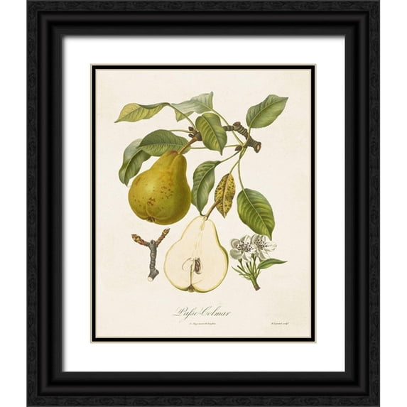 de Langlois 12x14 Black Ornate Wood Framed with Double Matting Museum Art Print Titled - Vintage Pears II