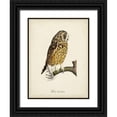 thumbnail image 1 of de Langlois 15x18 Black Ornate Wood Framed with Double Matting Museum Art Print Titled - French Owls II, 1 of 4