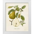 thumbnail image 1 of de Langlois  15x18 White Modern Wood Framed Museum Art Print Titled - Vintage Pears II, 1 of 4