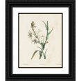 thumbnail image 1 of de Langlois  20x24 Black Ornate Wood Framed with Double Matting Museum Art Print Titled - Traditional Botanical IV, 1 of 4