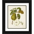 thumbnail image 1 of de Langlois  20x24 Black Ornate Wood Framed with Double Matting Museum Art Print Titled - Vintage Pears IV, 1 of 4