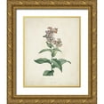 thumbnail image 1 of de Langlois  26x32 Gold Ornate Wood Framed with Double Matting Museum Art Print Titled - Traditional Botanical II, 1 of 4