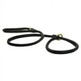 thumbnail image 1 of dean and tyler 2-in-1 dt rolled slip leash, black 6-feet by 1/4-inch diameter with solid brass hardware., 1 of 1