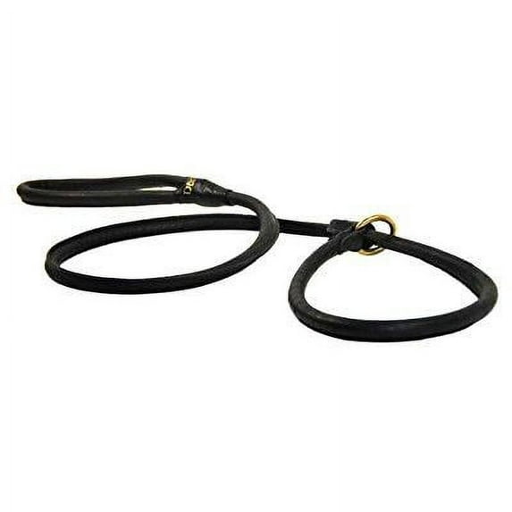 dean and tyler 2-in-1 dt rolled slip leash, black 6-feet by 1/4-inch diameter with solid brass hardware.