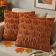 thumbnail image 1 of decorUhome Fall Throw Pillow Covers 18x18 Pack of 2, Soft Plush Faux Wool Couch Pillow Covers, Light Rust Pumpkin (Pillow Cover Only, No Inserts Included), 1 of 7