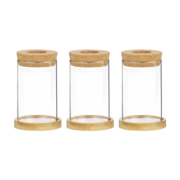 deevoka 3 Pieces Glass Flower Vases Clear for Growing Hydroponic Plants Store brown