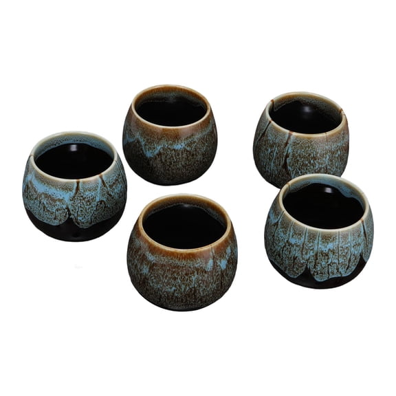 deevoka 5Pcs Coffee Cups Chinese Teacups Home Office Japanese Style Ceramic Tea Cups Blue