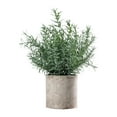 thumbnail image 1 of deevoka Artificial Small Potted Plants for Desktop Ornament Desk Tabletop Decoration Hedychium Diffusum, 1 of 9