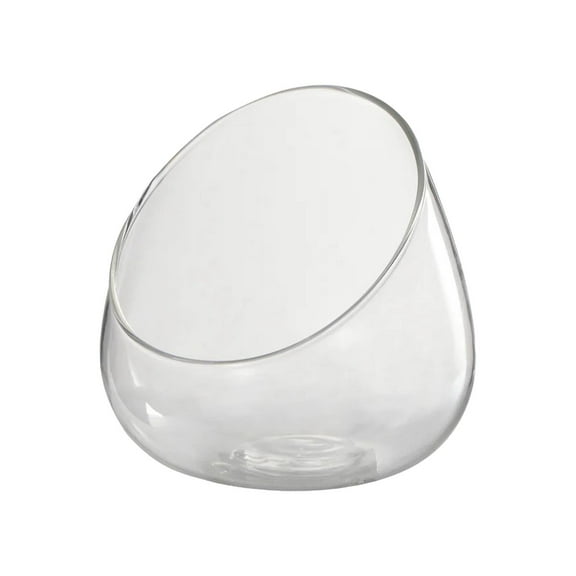 deevoka Clear Slant Cut Bowl Glass Vase Air Plant Terrarium for Tabletop Centerpiece