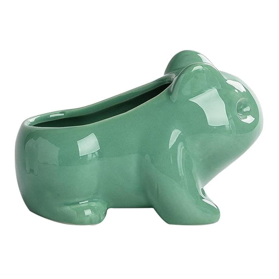 deevoka Cute Cartoon Frog Shaped Ceramic Cactus Flower Plant Pot Decor M M