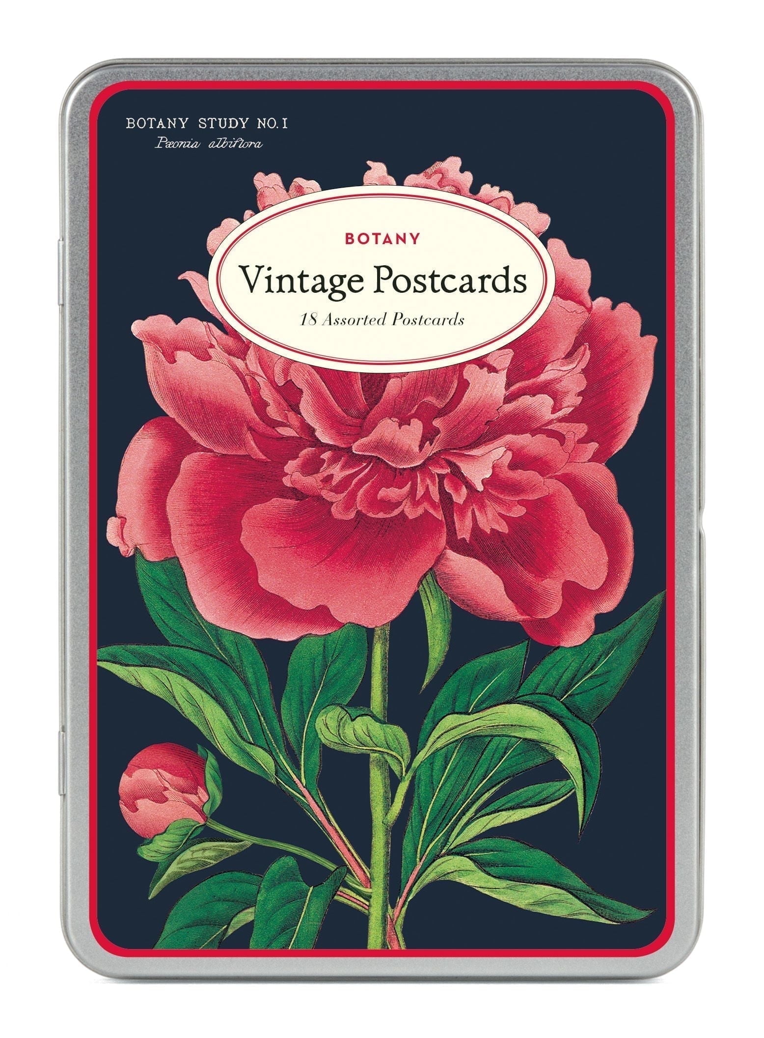 Botany Vintage Style Assorted Postcard Set in Keepsake Tin