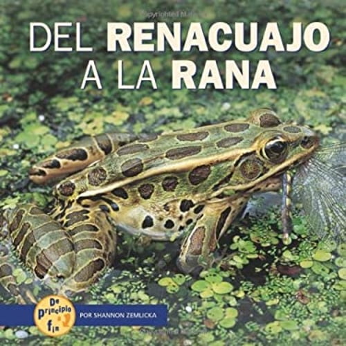 Pre-Owned del Renacuajo a la Rana (from Tadpole to Frog) (Library Binding) 0822564971 9780822564973