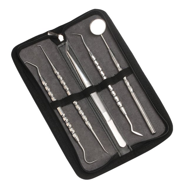 dental cleaning kit 5PCS Black Oral Hygiene Care Dental Tools Stainless