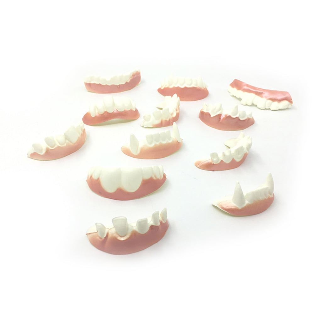 denture model 24pcs Funny Denture Model Cosplay Props Dentures Fake