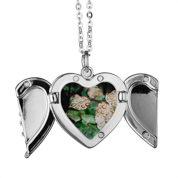 dewdrop nature picture angel wings necklpendant fashion