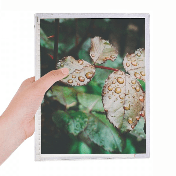 dewdrop nature picture notebook loose diary refillable journal statiry