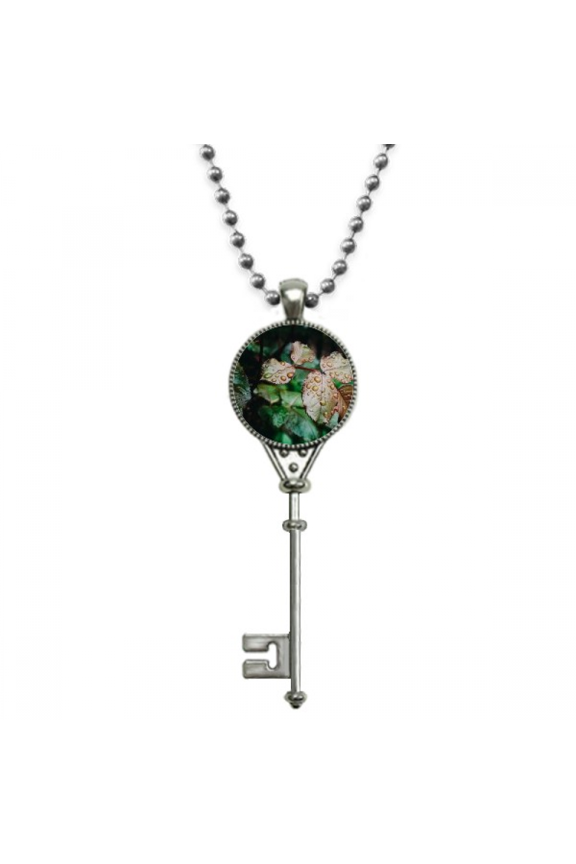 dewdrop nature picture pendant vintage necklsilver key jewelry