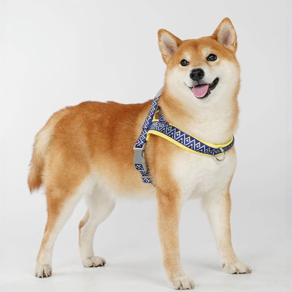 dgysar Saddle Style Dog Harness and Leash Set No-Pull Outdoor Gear for Small Medium Large Dogs Reflective Walking Vest Blue XL