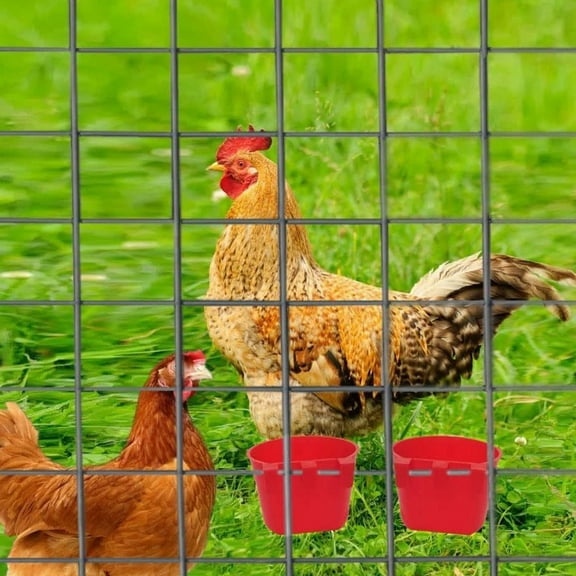 dianhelloya 3-Snap Hanging Feeder Cup for Wire Cages, 10-Pack Durable Plastic Pet Food & Water Bowls with Smooth Edges, Multi-Position Design for Chickens, Birds, Rabbits, Hamsters, Small Animals