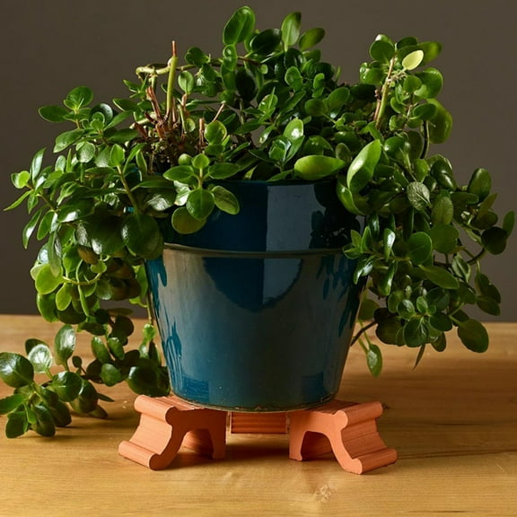dianhelloya Resin Flower Pot Feet - Adjustable Plant Risers for Enhanced Air Circulation, Drainage & Frost Protection, Durable All-Weather Indoor/Outdoor Use, Modern Design for Stability & Home Decor