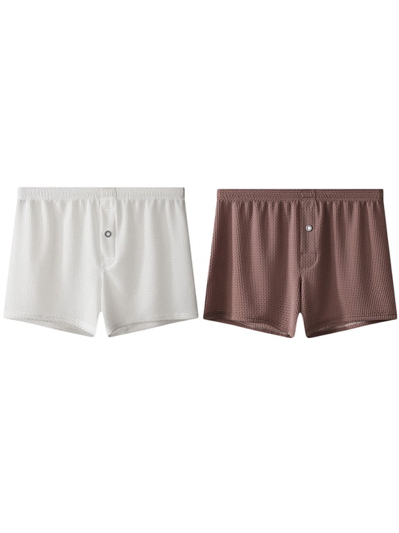 Boxer Briefs for Men 2 Pack Big and Tall Loose Fit Solid Color Premium Cooling Underwear for Summer and Sports