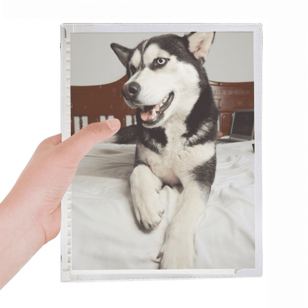 dog animal room hupicture notebook loose diary refillable journal statiry