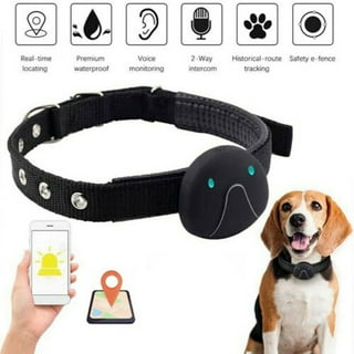 F9 pet positioning collar online