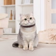 dog clothes for large dogs cat clothes girl dress up for large breed small breed dog custom