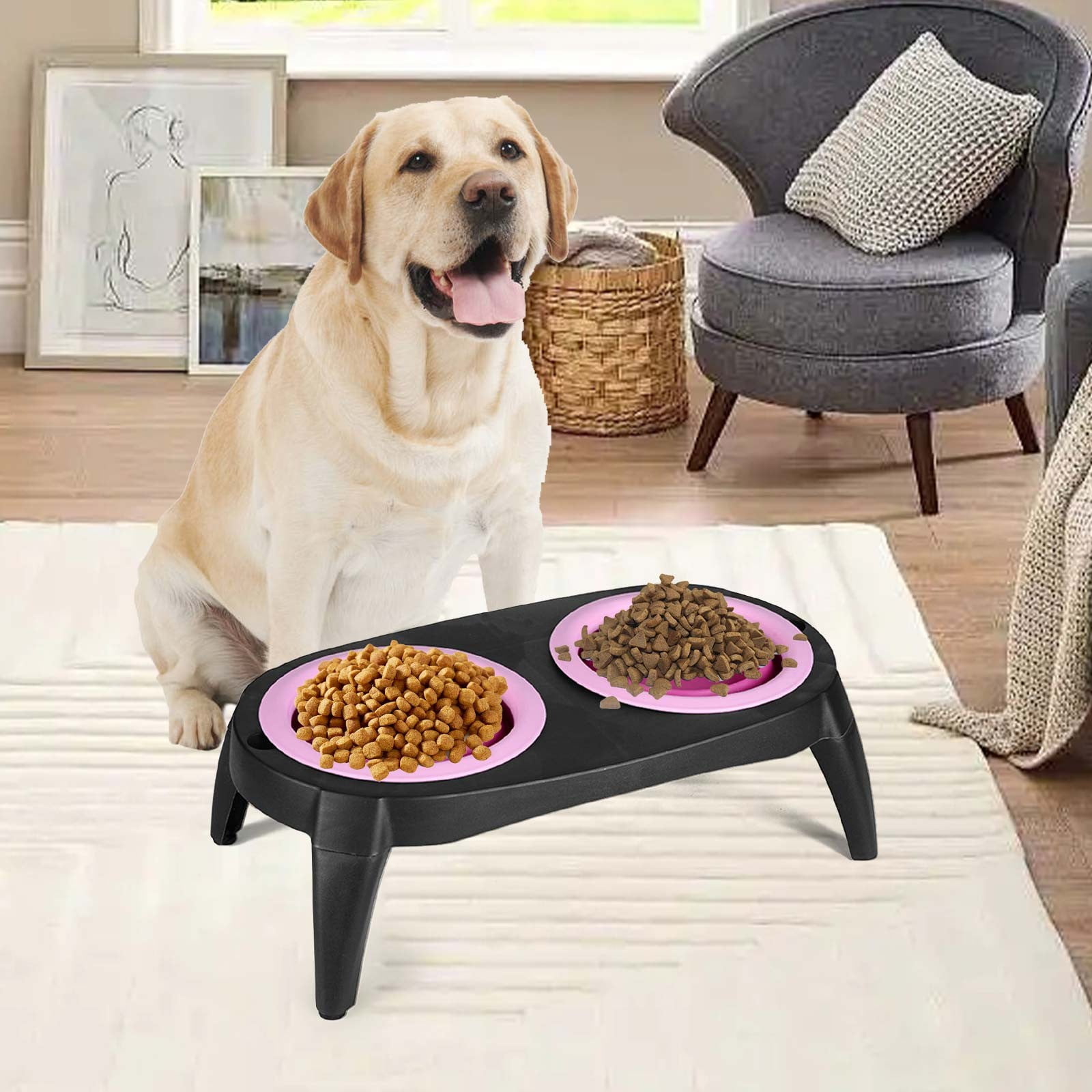 dog feeding station cat feeder with collar sensor cat auto feeder