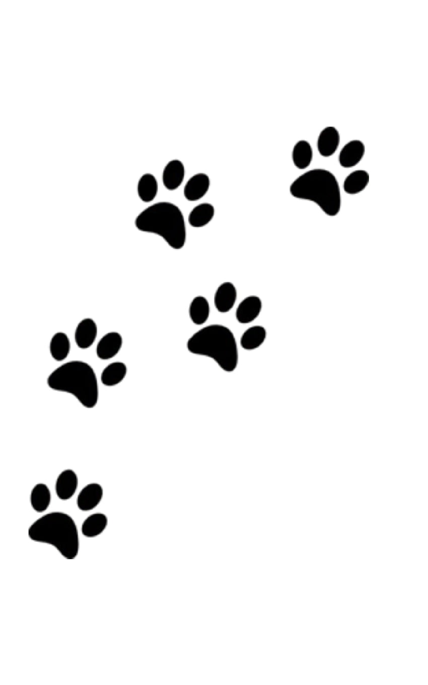 Cute Puppy Paw Drawing