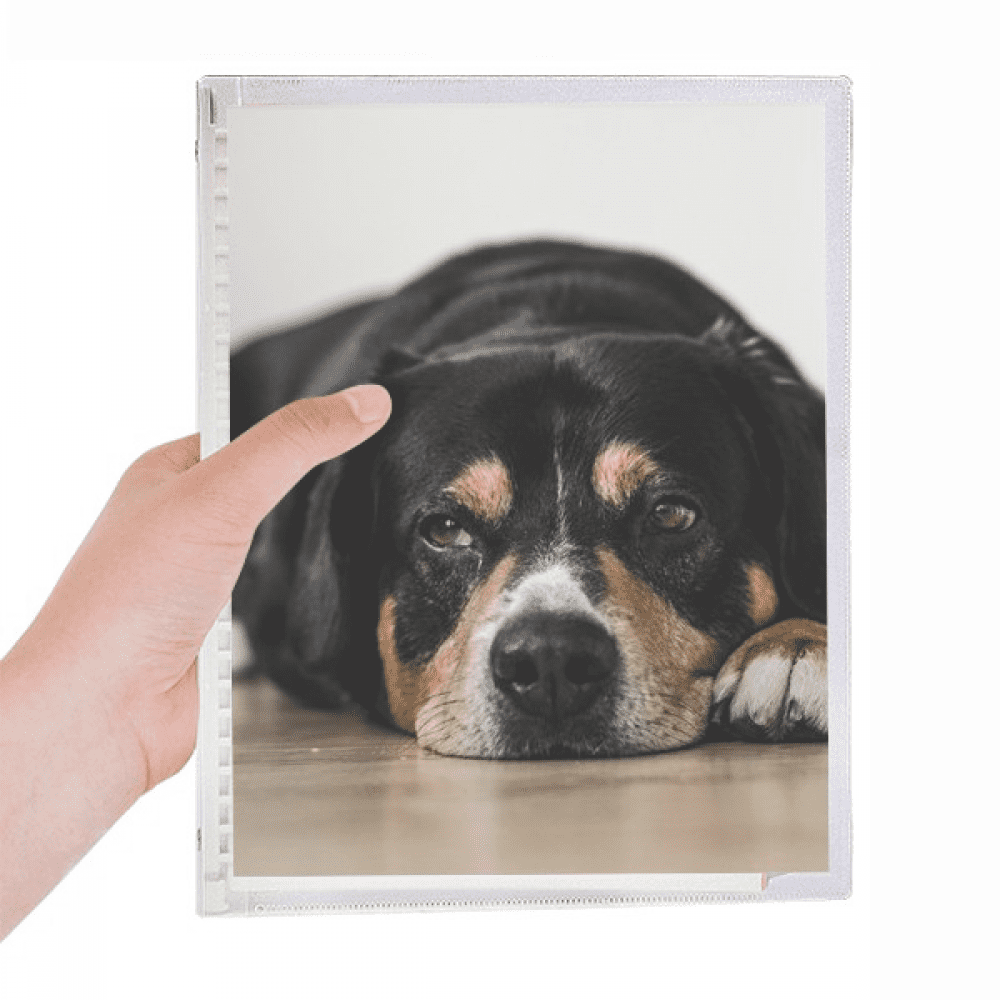 dog pet animal photograph floor picture notebook loose diary refillable journal statiry