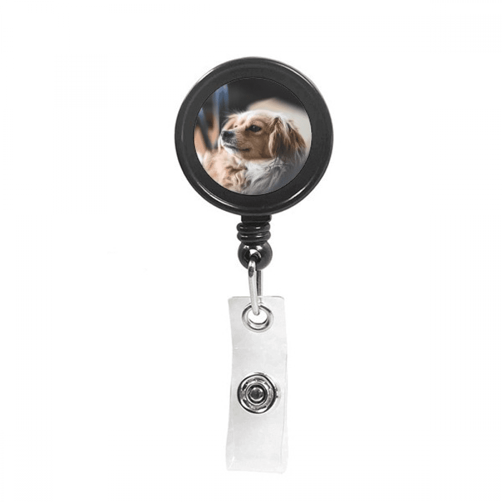 dog small animal lly photo Retractable Keychain Badge Holder ID Badge