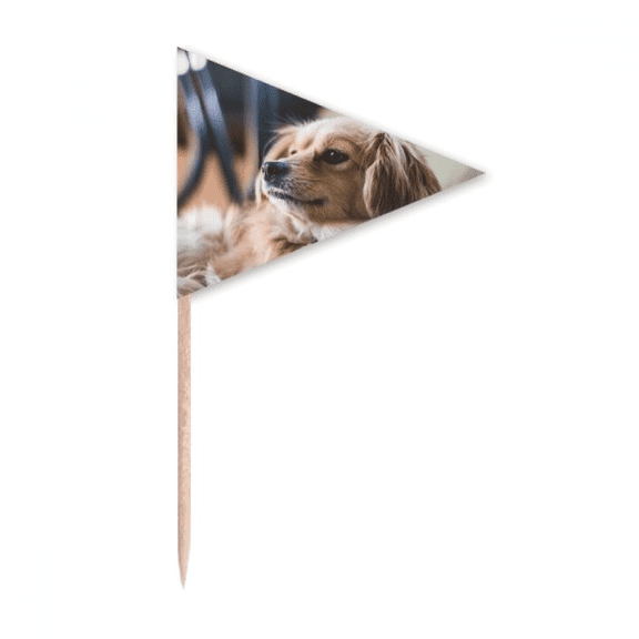 dog small animal lly photo Toothpick Triangle Cupcake Toppers Flag