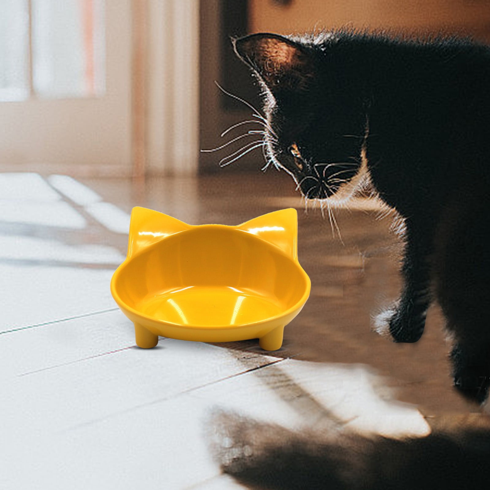 dog water dispenser cat feeder with collar sensor refrigerated wet cat