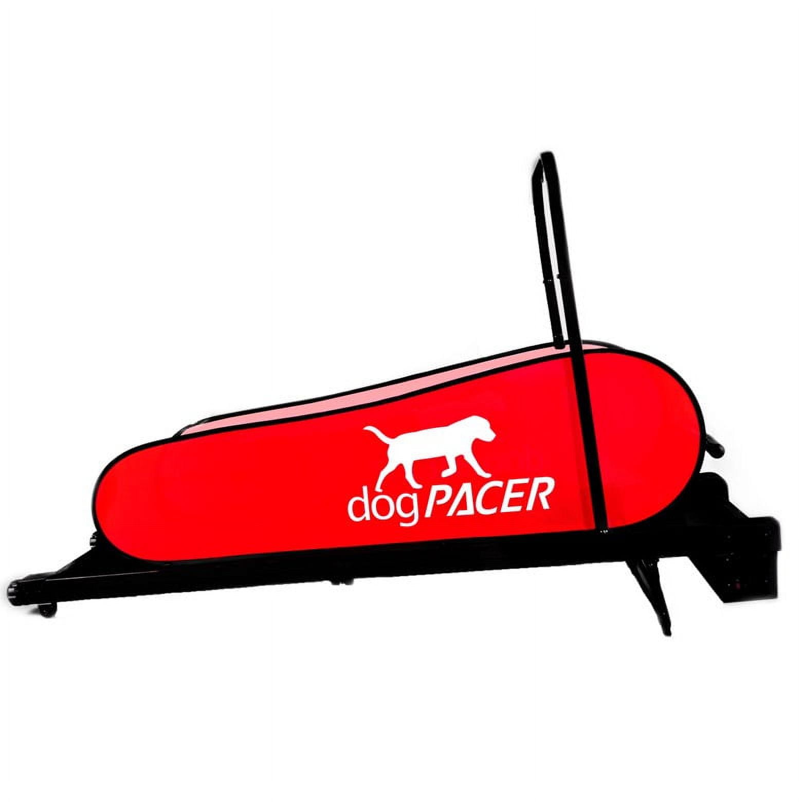 dogPACER LF 3.1 Electric Dog Treadmill