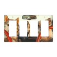 thumbnail image 1 of dogs driving Switch Cover Decorative Wall Plate / 4-Gang 4-Decor / Standard Size 4.5x8 in, 1 of 5