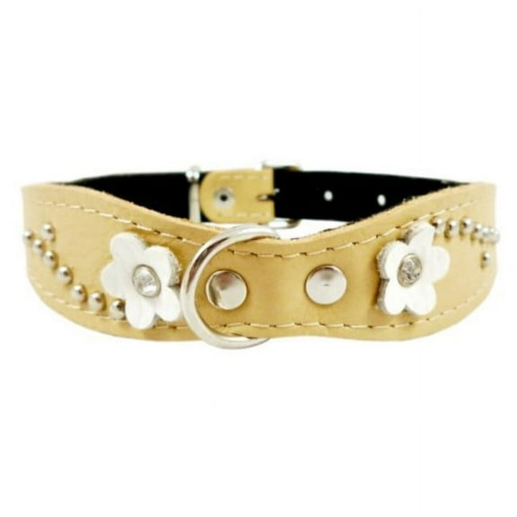 dogs my love beige genuine leather designer dog collar 14.5"x1" with studs, daisy, and rhinestone