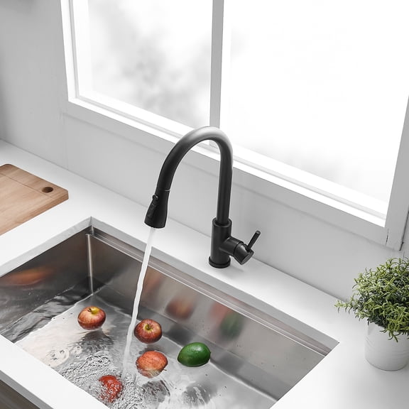 dokea Brushed Nickel Kitchen Faucet with Pull Out Sprayer, Stainless Steel