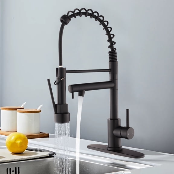 dokea Kitchen Faucet with Pull Down Sprayer, Matte Black, 2-Function, Stainless Steel