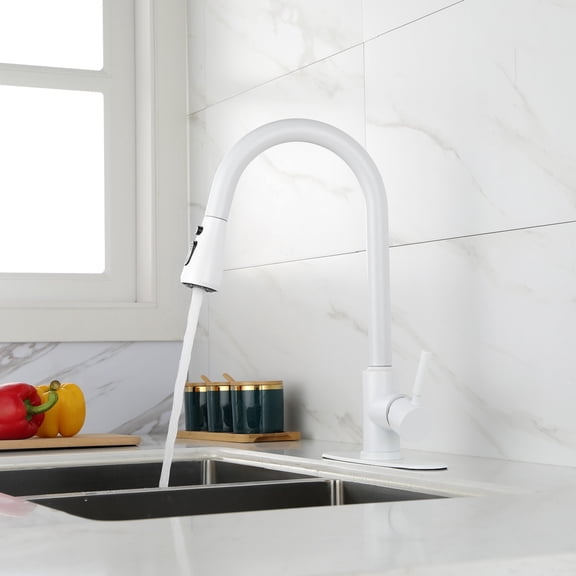 dokea Kitchen Faucet with Pull Out Spray - Single Handle - Modern Design