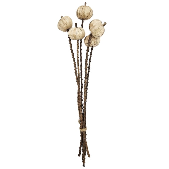 dokea Pumpkin Pod Twig Stem Set - 12, 23.5 - Harvest Decor