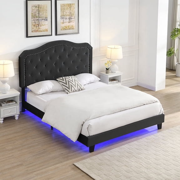 dokea Upholstered Queen Bed Button Tufted Black Velvet Platform Bed with LED Lights