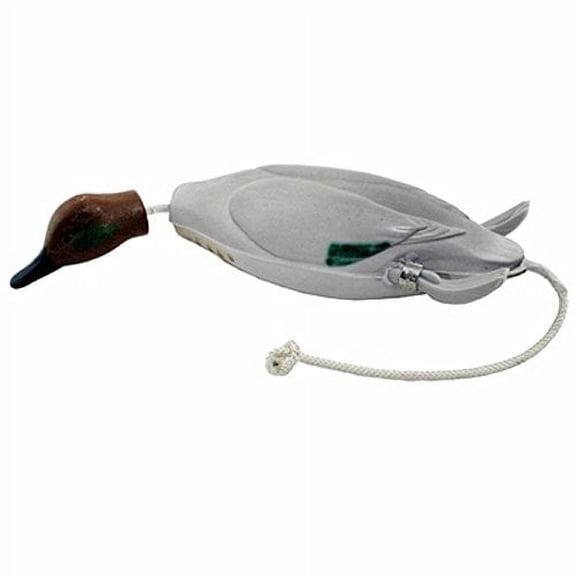 Dokken Dead Fowl Green Wing Teal Dokken Retriever Trainer