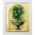 thumbnail image 1 of du Ciel, Milieu 15x18 White Modern Wood Framed Museum Art Print Titled - Citrons, 1 of 4