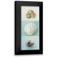 thumbnail image 1 of du Ciel, Milieu 8x14 Black Modern Framed Museum Art Print Titled - Shell selection III, 1 of 5