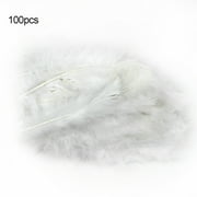 duixinghas Craft Feathers 10cm Soft Plume Feather 100 Count