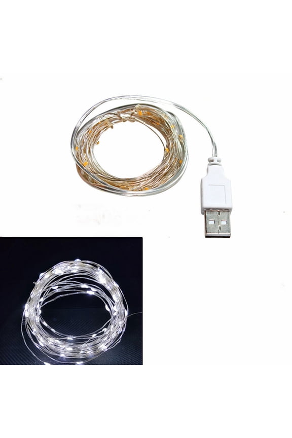 Indoor/Outdoor LED String Lights, White