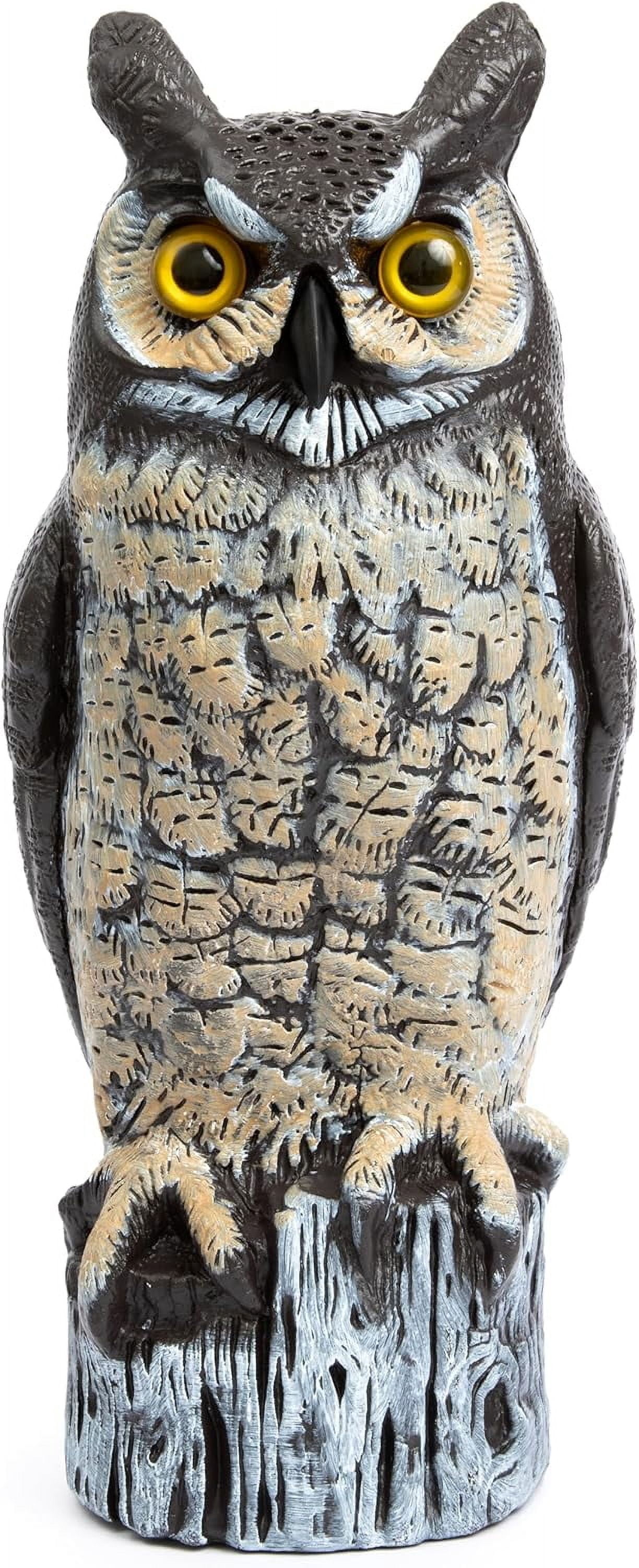 dvbiyno Fake Owl Decoy to Scare Birds Away from Gardens Rooftops and ...